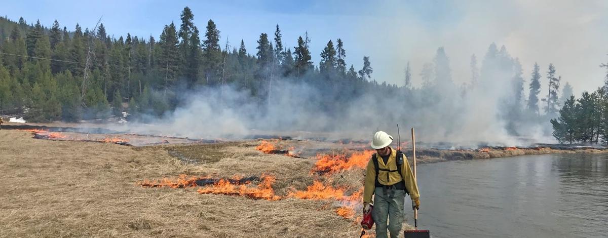 Prescribed burn- Red River