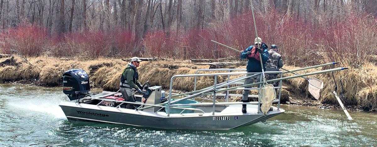 SFSR Electrofishing
