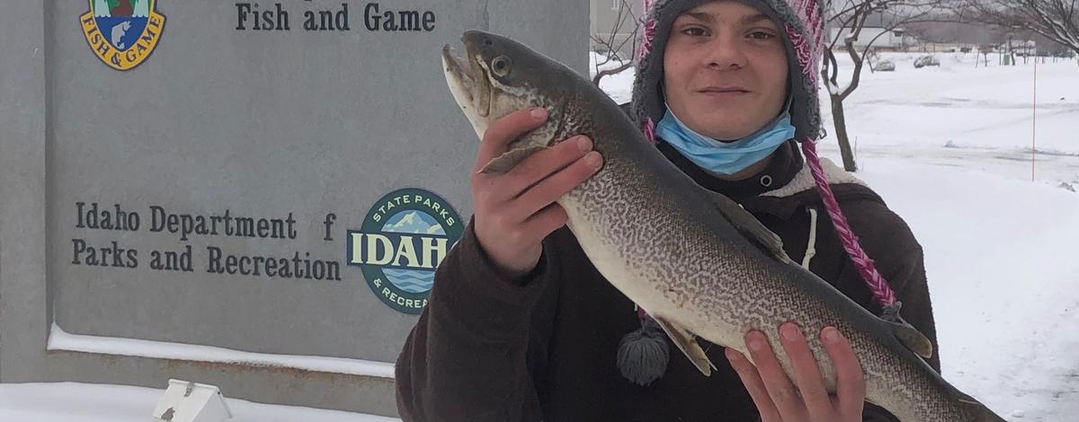 Record Tiger Trout