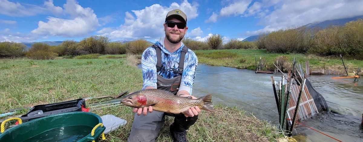 Biologist Nathan Tillotson holding a large cutthroat trout