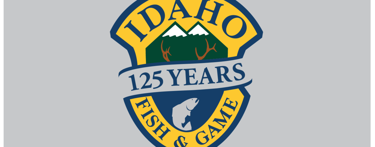 125 logo 2