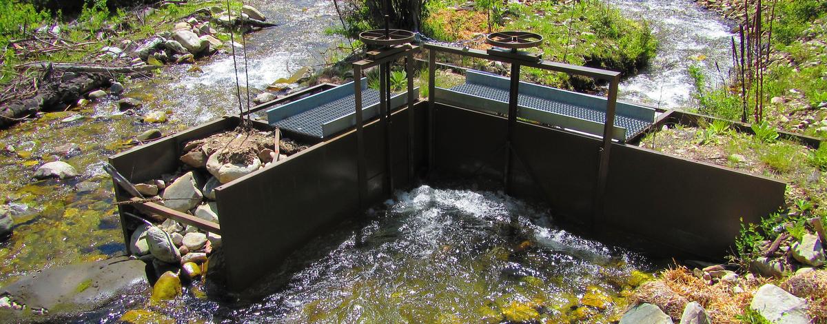 Headgate above fish screen