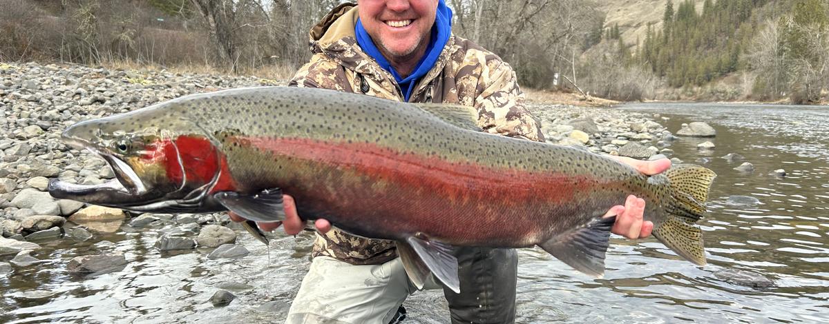 Clearwater steelhead