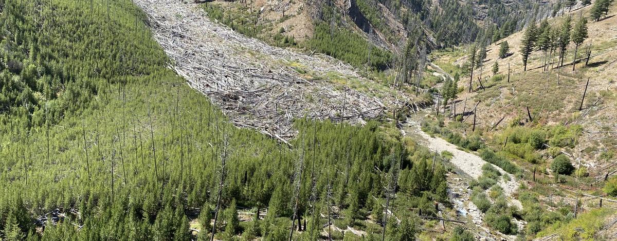 Debris flow making its way to a stream / Photo by Eli Felts