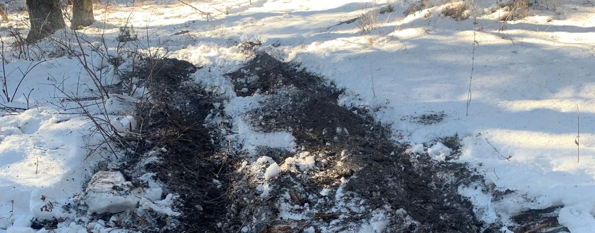 Tire Tracks Damage