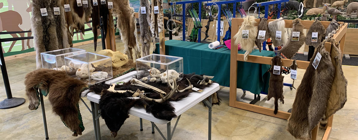 Touch and feel station at North Idaho Fairground 3-D archery range