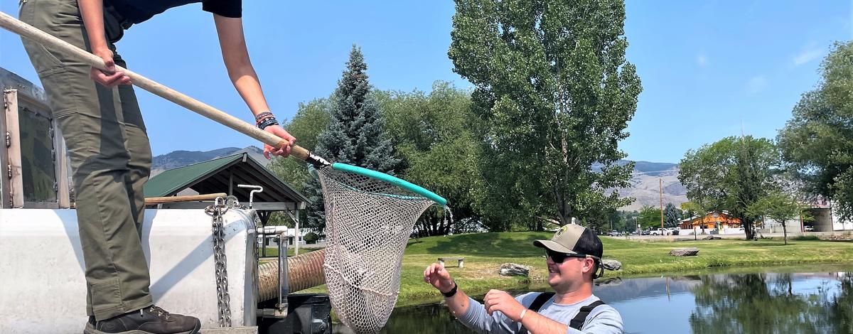 Stocking Jacks in Kid's Creek Pond