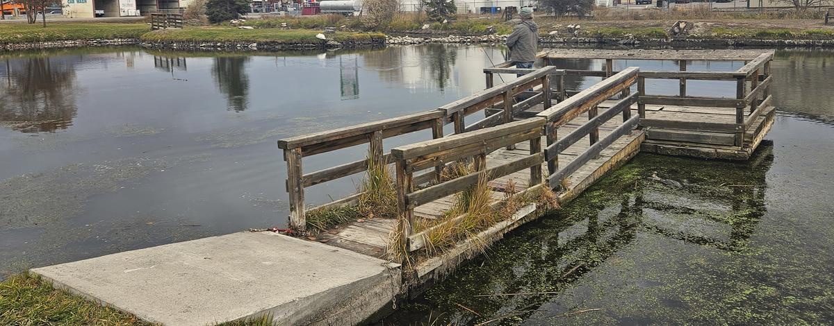 Kid's Creek Pond dock