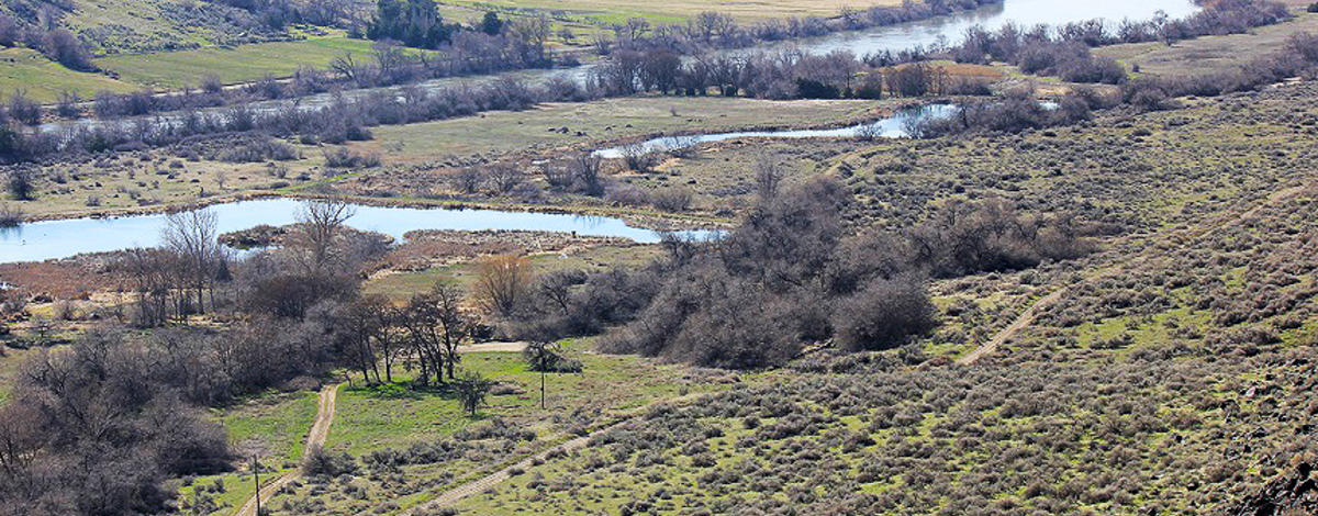Ponds located at the west-end of the Niagara Springs Wildlife Management Area