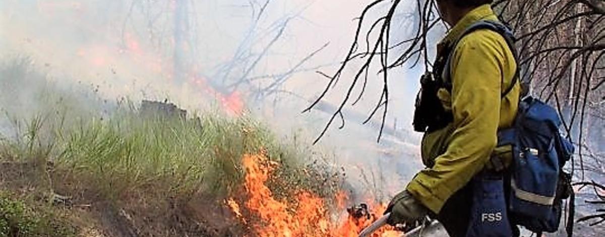 prescribed fire, firefighter
