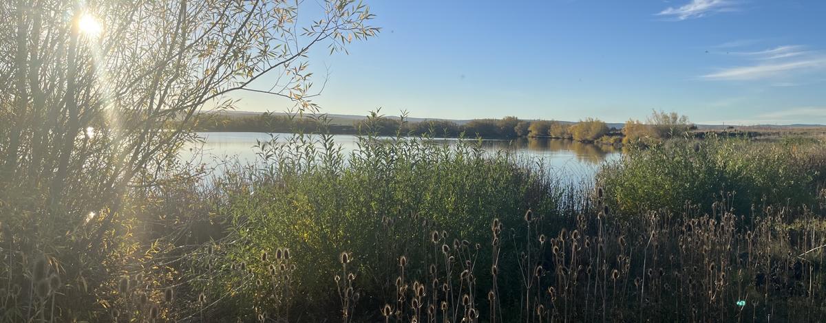 Tolo Lake