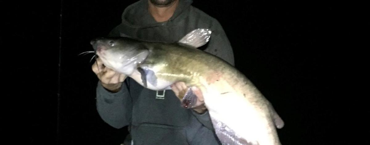 ScottTurner_Catfish_SnakeRiver