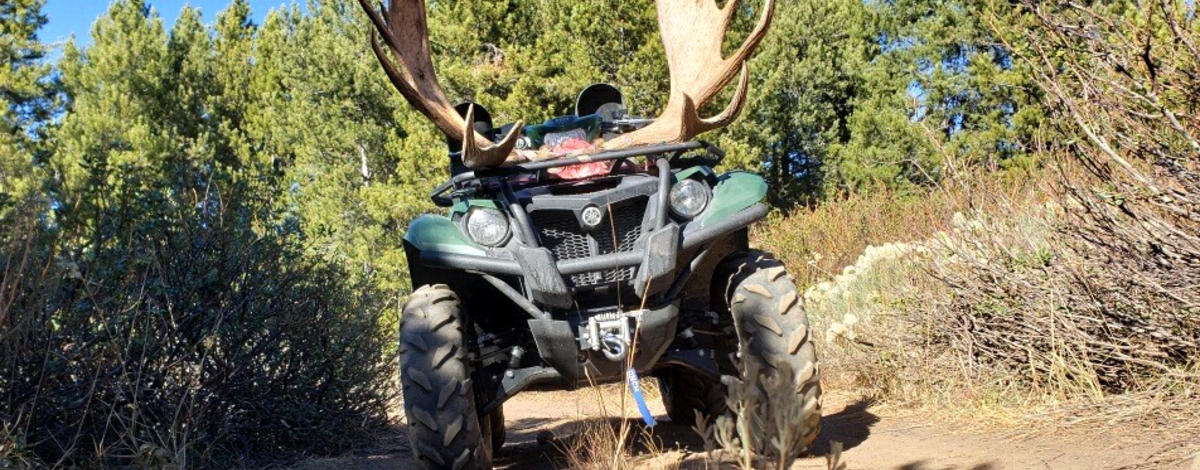 south_hills_poached_moose