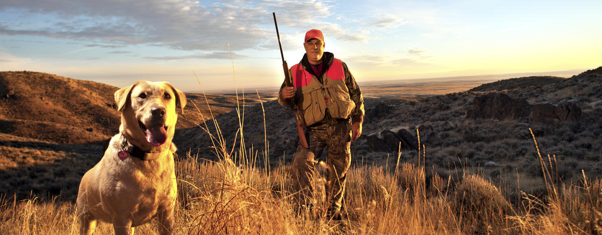medium portrait shot of a hunter in hunter orange and his dog in autumn Fall