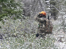 biggame hunter1_201_a.jpeg