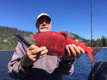 big_red_kok