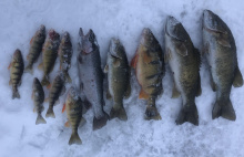 Lake Cascade Catch
