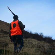 upland bird hunter_2273_cropped
