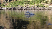 jumping_6_cropped