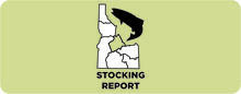 R7 Stocking Banner