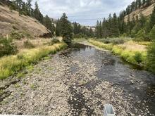 August flow in Potlatch