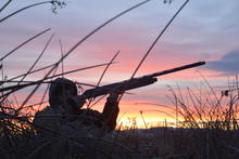 duckhunt-abb8-58b97595561b.jpeg
