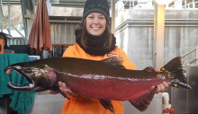 coho_trapeed_at_lgd