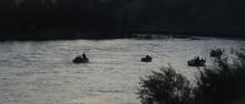 Fishing for Spring Chinook Salmon
