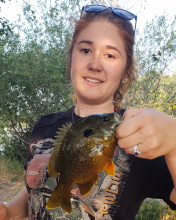 H Urban Hybrid Sunfish