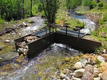 Headgate above fish screen