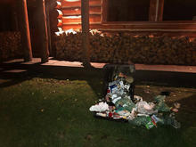 bear, garbage