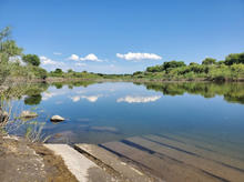 picture of a boat ramp in water surrounded by vegetation