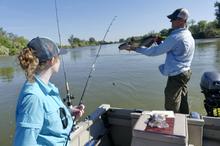 Catfish on the Snake River near Parma. 