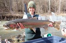 Steelhead 