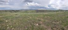 Scenic vista of Tex Creek WMA