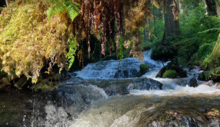 Waterfall