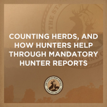 state_of_deer_elk_-_surveys